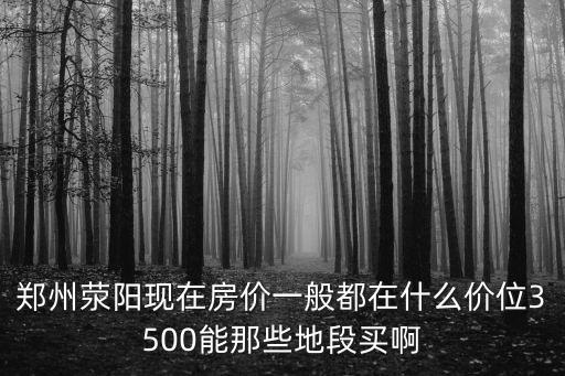 鄭州滎陽現在房價一般都在什么價位3500能那些地段買啊