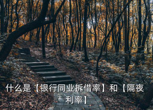 隔夜利率,同業拆借利率短期化
