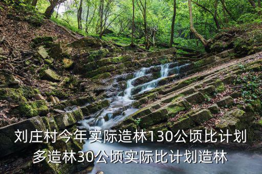 劉莊村今年實際造林130公頃比計劃多造林30公頃實際比計劃造林