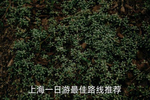 上海一日游自由行最佳路線，上海一日游最佳路線