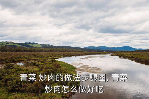  青菜 炒肉的做法步驟圖, 青菜 炒肉怎么做好吃