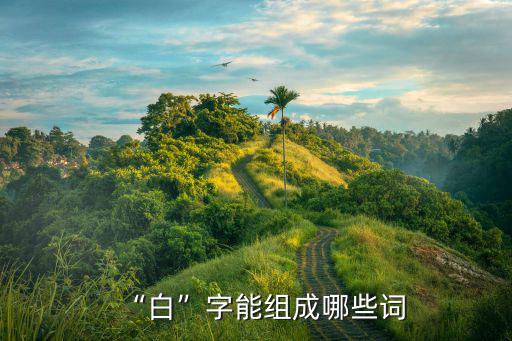 “白”字能組成哪些詞