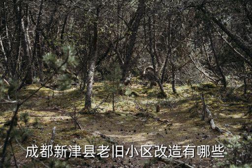 成都新津縣老舊小區(qū)改造有哪些