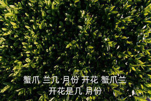  蟹爪 蘭幾 月份 開花 蟹爪蘭 開花是幾 月份