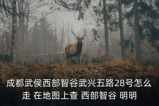 成都武侯西部智谷武興五路28號(hào)怎么走 在地圖上查 西部智谷 明明