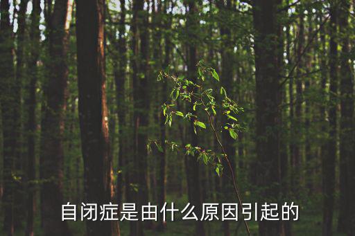 自閉癥是由什么原因引起的