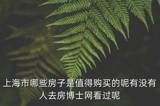 上海2023新開樓盤，最近南延線有沒有什么新開樓盤