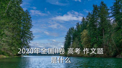 2020年高考作文題目,閱讀以下材料確定立意和風格