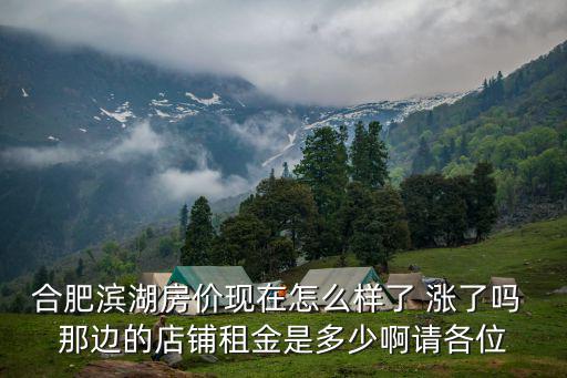 合肥濱湖房價現在怎么樣了 漲了嗎 那邊的店鋪租金是多少啊請各位
