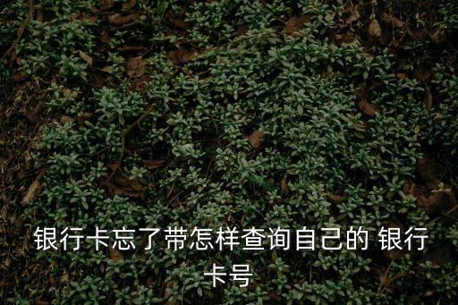  銀行卡忘了帶怎樣查詢自己的 銀行卡號