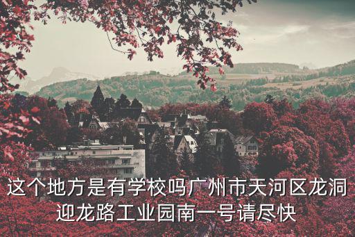 這個地方是有學校嗎廣州市天河區(qū)龍洞迎龍路工業(yè)園南一號請盡快