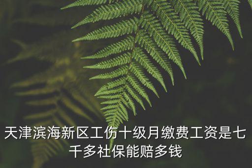 天津濱海新區(qū)工傷十級月繳費工資是七千多社保能賠多錢