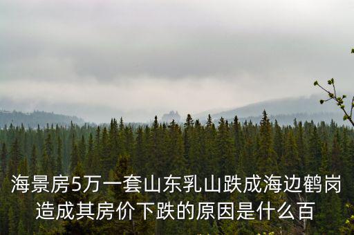 海景房5萬一套山東乳山跌成海邊鶴崗造成其房價下跌的原因是什么百