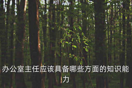 辦公室主任應(yīng)該具備哪些方面的知識(shí)能力