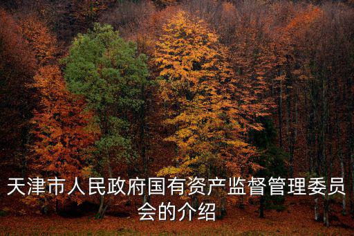 天津市人民政府國有資產監督管理委員會的介紹
