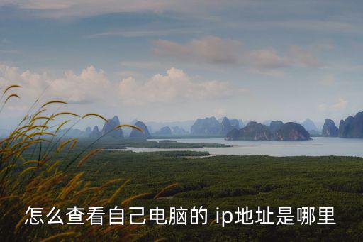 怎么查看自己電腦的 ip地址是哪里
