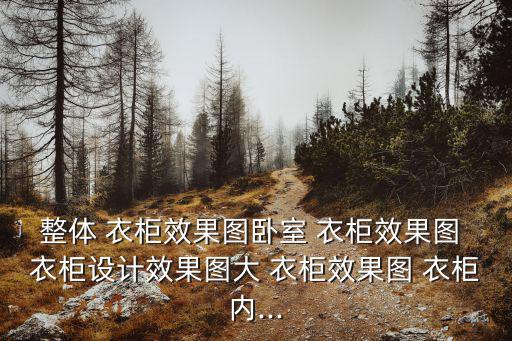 整體 衣柜效果圖臥室 衣柜效果圖 衣柜設(shè)計(jì)效果圖大 衣柜效果圖 衣柜內(nèi)...
