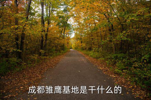 成都雛鷹基地是干什么的