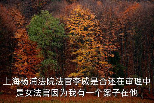 上海市楊浦區(qū)法官龔，上海楊浦法院法官李威是否還在審理中是女法官因為我有一個案子在他