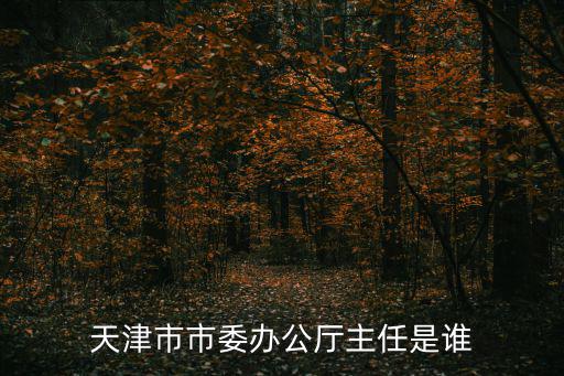 天津市市委辦公廳主任是誰