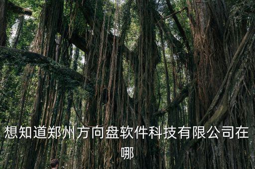想知道鄭州方向盤軟件科技有限公司在哪