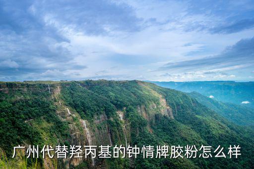 廣州代替羥丙基的鐘情牌膠粉怎么樣