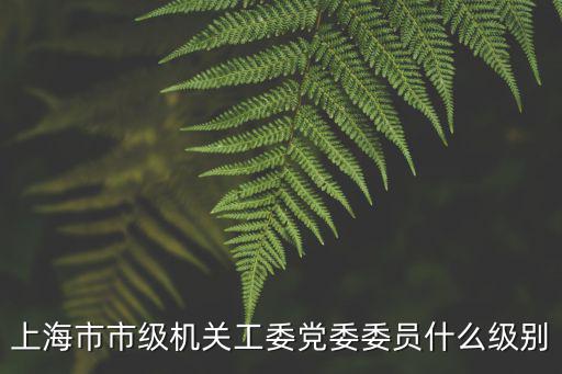 上海市市級機關工委黨委委員什么級別