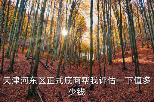 天津河?xùn)|區(qū)正式底商幫我評估一下值多少錢