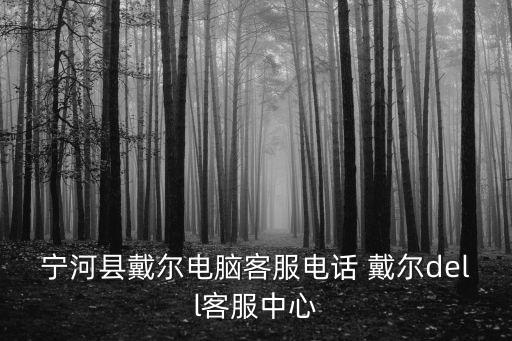 寧河縣戴爾電腦客服電話 戴爾dell客服中心