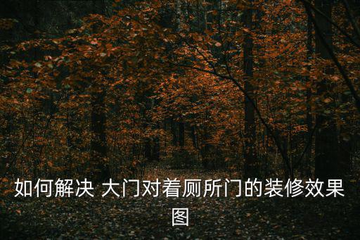 大門效果圖,風(fēng)水學(xué)家:入戶門與廚房門相對最好掛紫水晶珠簾