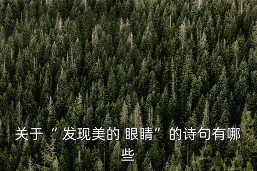 關于“ 發現美的 眼睛”的詩句有哪些