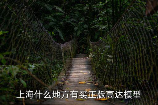 上海什么地方有買正版高達模型