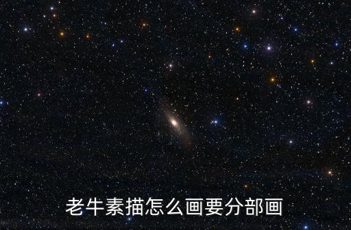 老牛素描怎么畫要分部畫