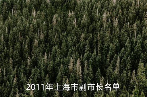 上海市副市級干部公示，2011年上海市副市長名單