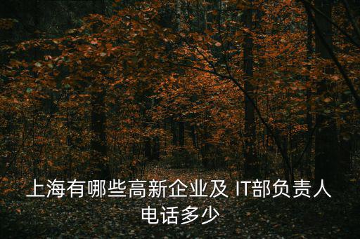 上海高新技術企業有哪些，上海哪幾家公司可以審核高新技術企業專項年審