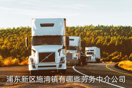 浦東新區施灣鎮有哪些勞務中介公司
