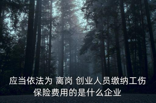 離崗創(chuàng)業(yè),政府為離崗創(chuàng)業(yè)者繳納工傷保險費