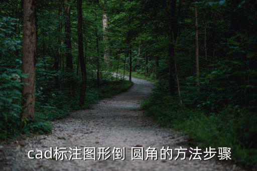  cad標注圖形倒 圓角的方法步驟