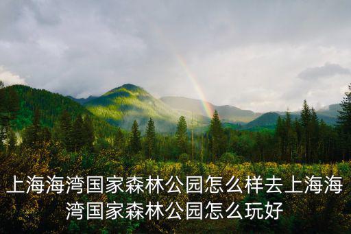 上海海灣國(guó)家森林公園怎么樣去上海海灣國(guó)家森林公園怎么玩好