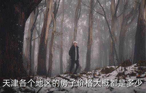 天津市重點(diǎn)片區(qū)房價(jià)，天津各區(qū)域的房價(jià)分布