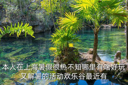 本人在上海暑假很熱不知哪里有啥好玩又解暑的活動歡樂谷最近有