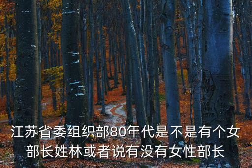 江蘇省委組織部80年代是不是有個女部長姓林或者說有沒有女性部長