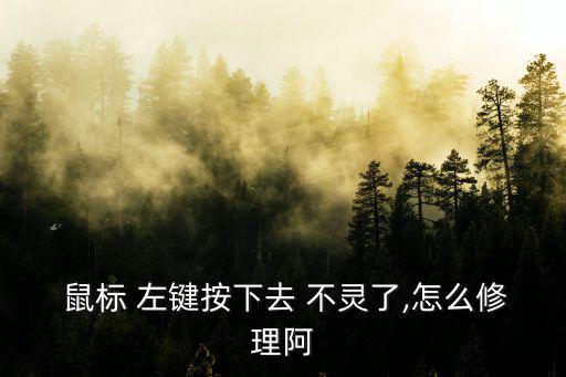 鼠標(biāo)左鍵不靈,按照教程更換鼠標(biāo)寸動(dòng)即可安裝驅(qū)動(dòng)程序