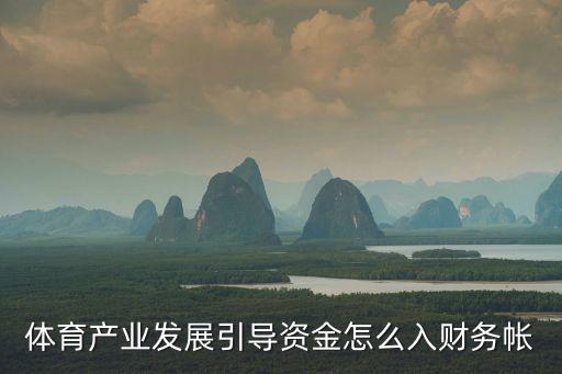 體育產業發展引導資金怎么入財務帳