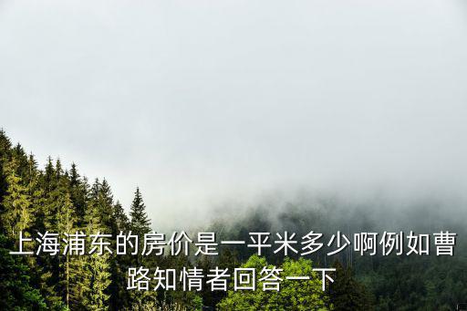 浦東123弄小區(qū)房價如何，上海浦東新區(qū)房價