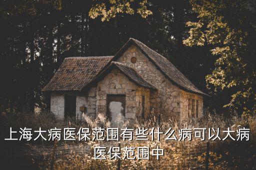 上海大病醫(yī)保范圍有些什么病可以大病醫(yī)保范圍中