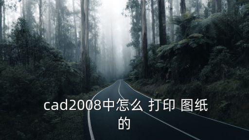  cad2008中怎么 打印 圖紙的
