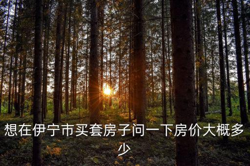 想在伊寧市買套房子問一下房?jī)r(jià)大概多少