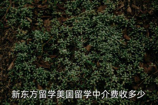 新東方留學美國留學中介費收多少