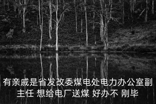有親戚是省發(fā)改委煤電處電力辦公室副主任 想給電廠送煤 好辦不 剛畢